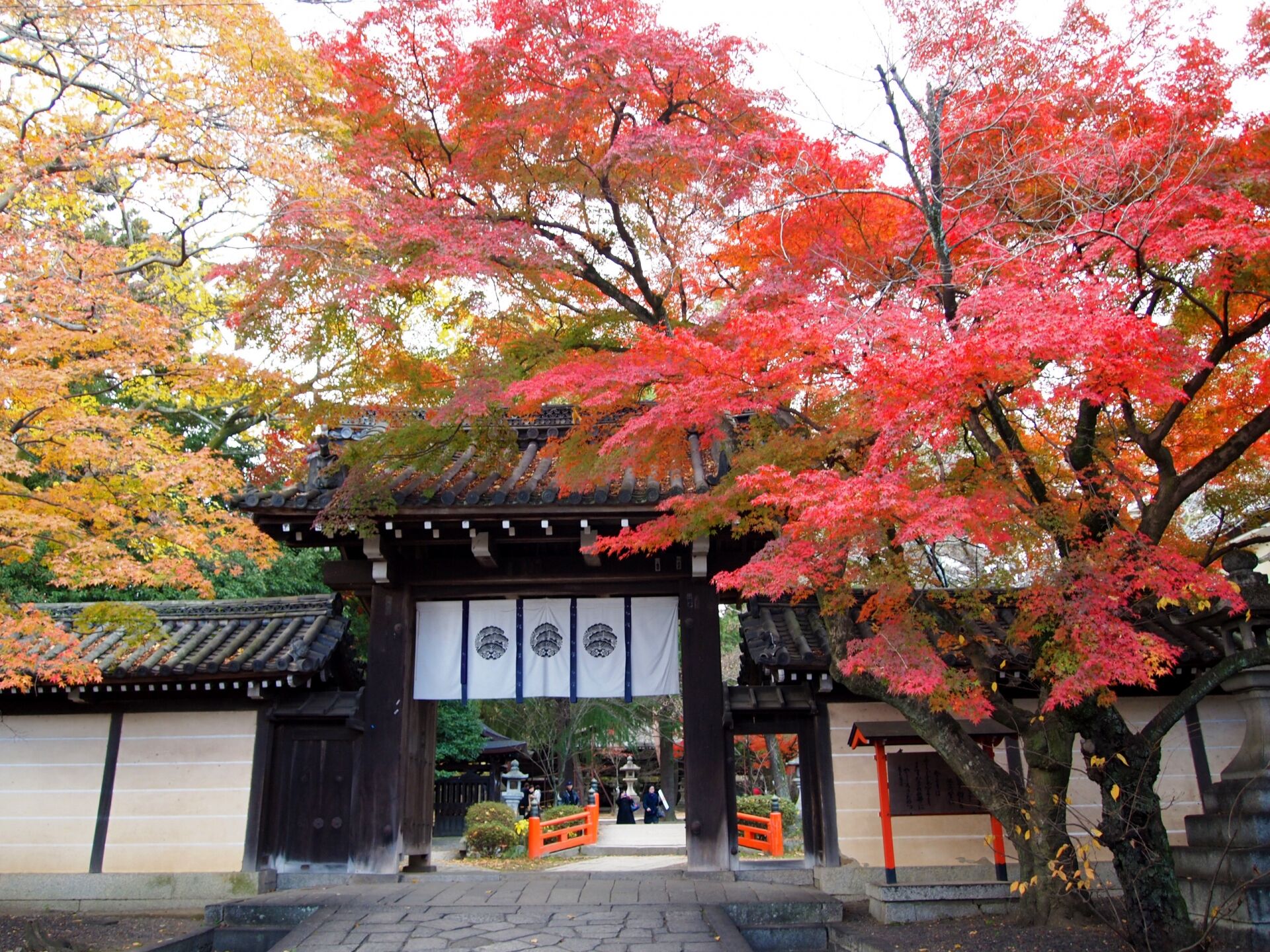 【京都・今宮神社での七五三撮影】Ae-Filmが語る“笑いあり涙あり”の家族日記